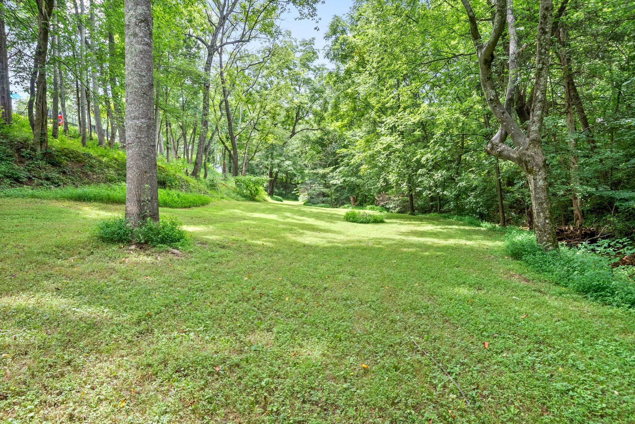 4592 Abednego Road Greenbrier, TN 37073 - Photo 61 of 67 Gallery Image 61