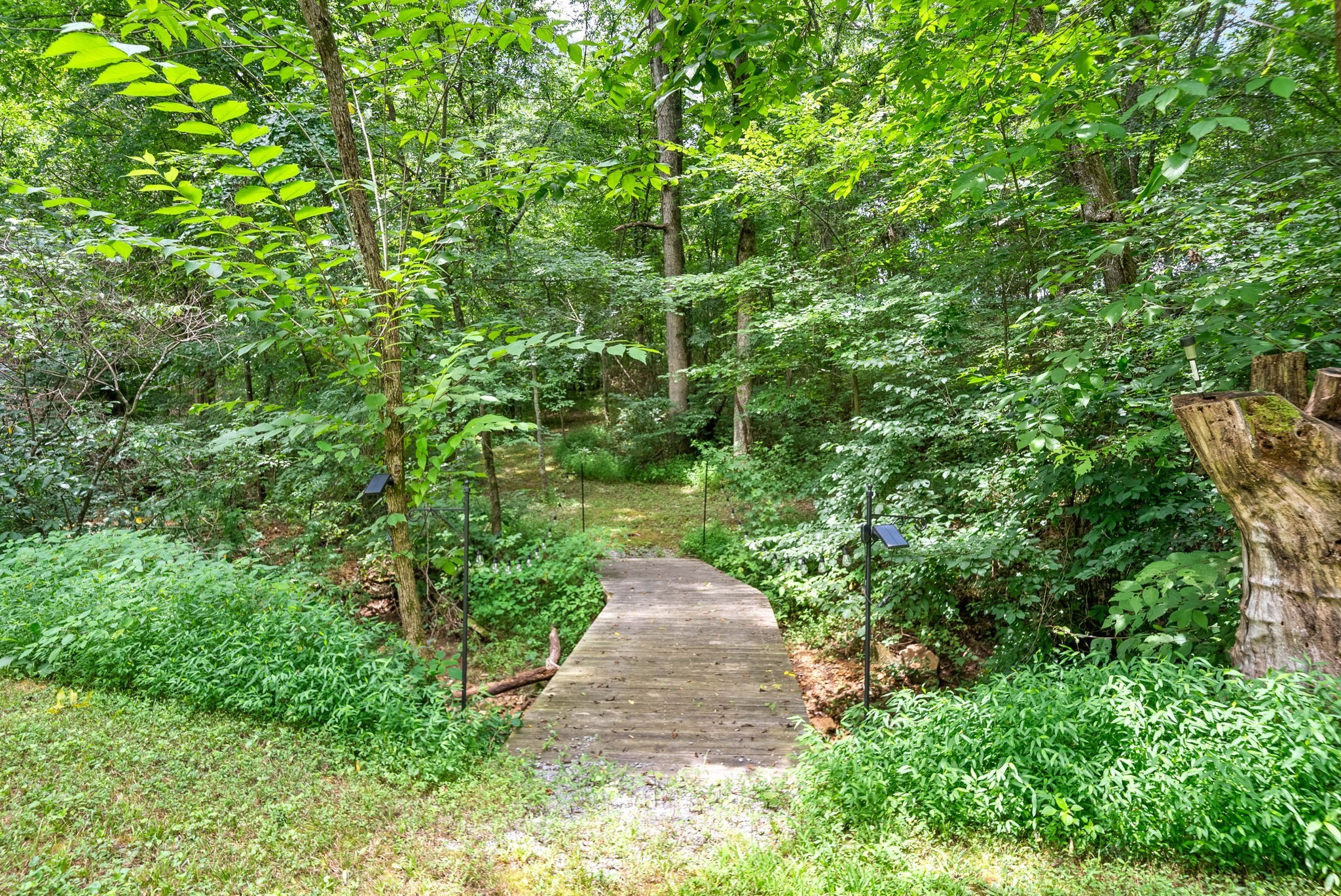 4592 Abednego Road Greenbrier, TN 37073 - Photo 62 of 67 Gallery Image 62