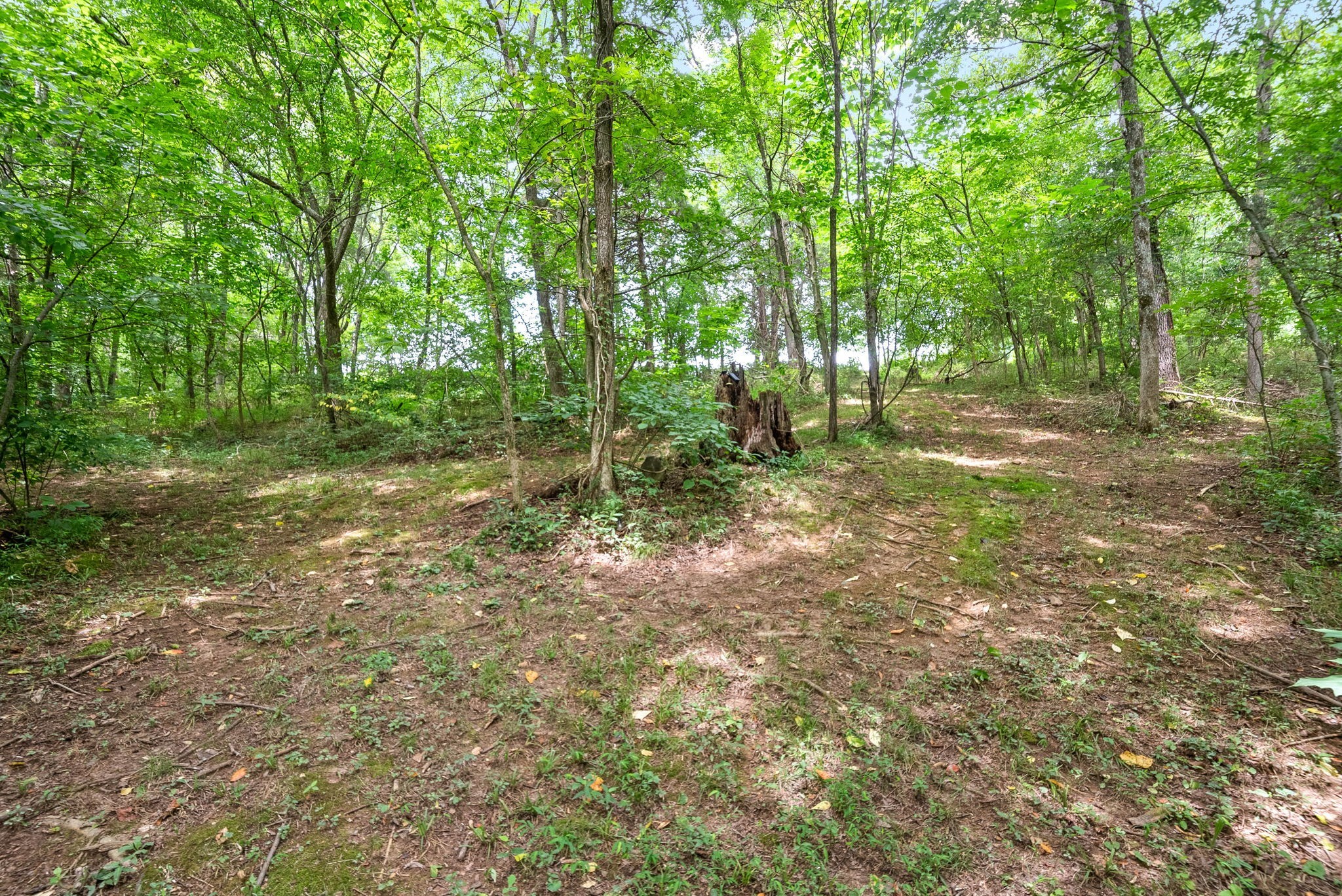 4592 Abednego Road Greenbrier, TN 37073 - Photo 63 of 67 Gallery Image 63