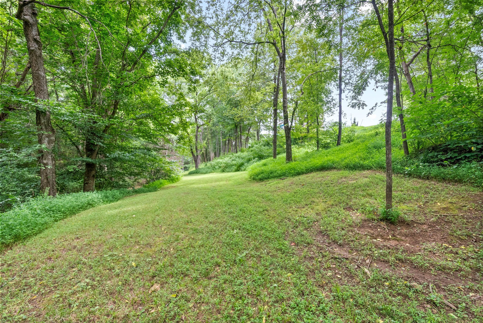 4592 Abednego Road Greenbrier, TN 37073 - Photo 65 of 67 Gallery Image 65