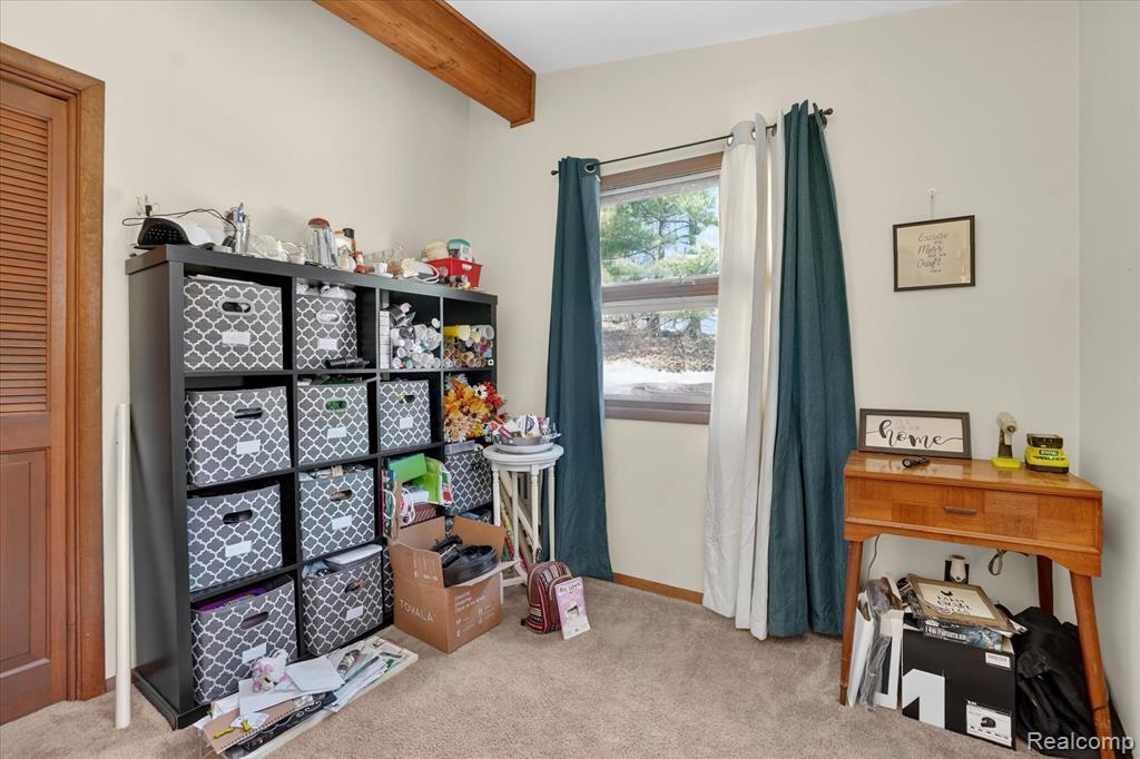 3301 Jewell Road Howell, MI 48843 - Photo 18 of 41