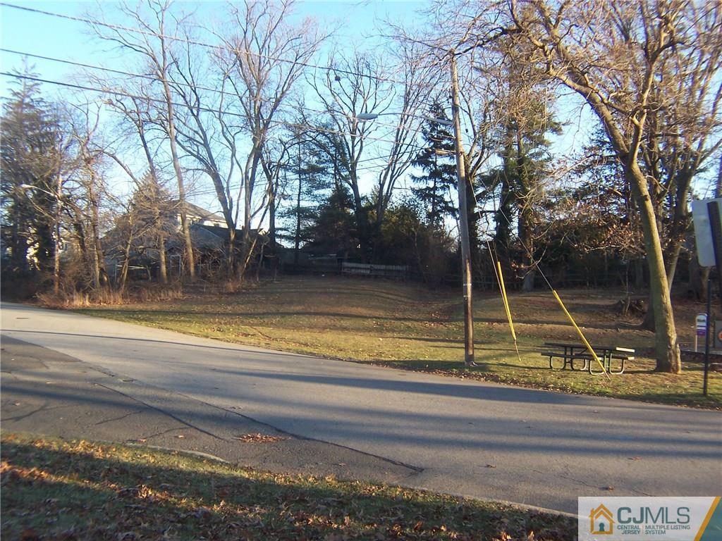 169 North Hill Road Colonia, NJ 07067 - Photo 14 of 19 a view of swimming pool with trees