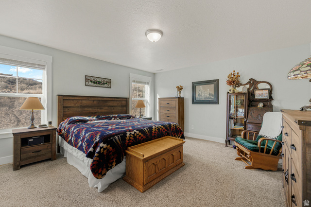 18573 South Marsh Valley Road Downey, ID 83234 - Photo 13 of 32 Bedroom featuring baseboards and light colored carpet