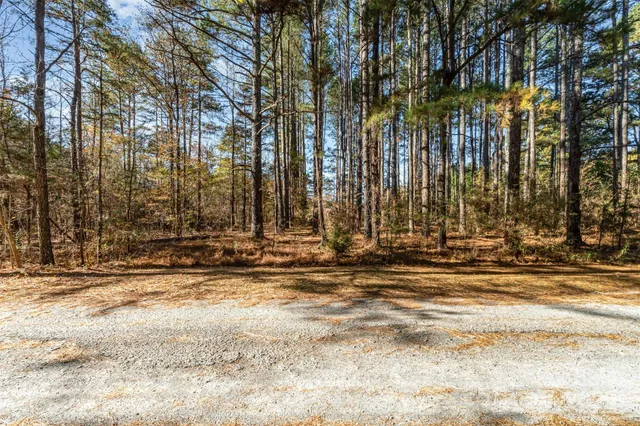 a view of a yard with wooden fence