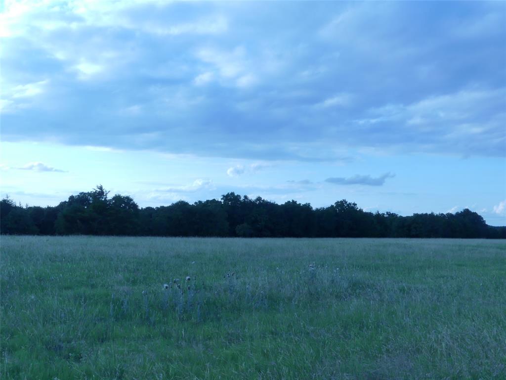 644 Mac's Grocery Road Bowie, TX 76230 - Photo 37 of 39