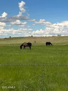 a bathroom with a granite countertop sink mirror and a toilet