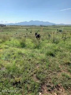 a view of a hallway with an entryway