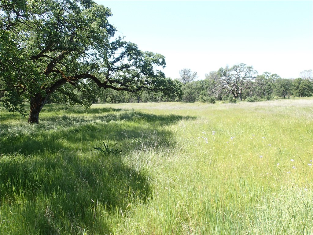 0 Long Bar Road Oroville, CA 95966 - Photo 1 of 1 Gallery Image 1