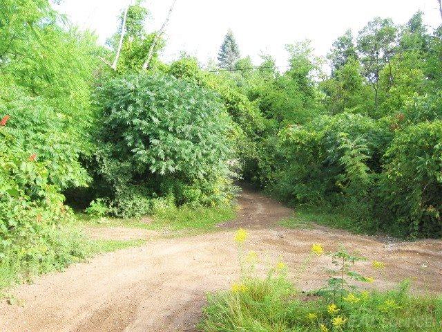 0 Birchtree Road Lexington, MI 48450 - Photo 12 of 19
