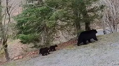 $529,000 | 103 Onondaga Road, Webb, NY 13420