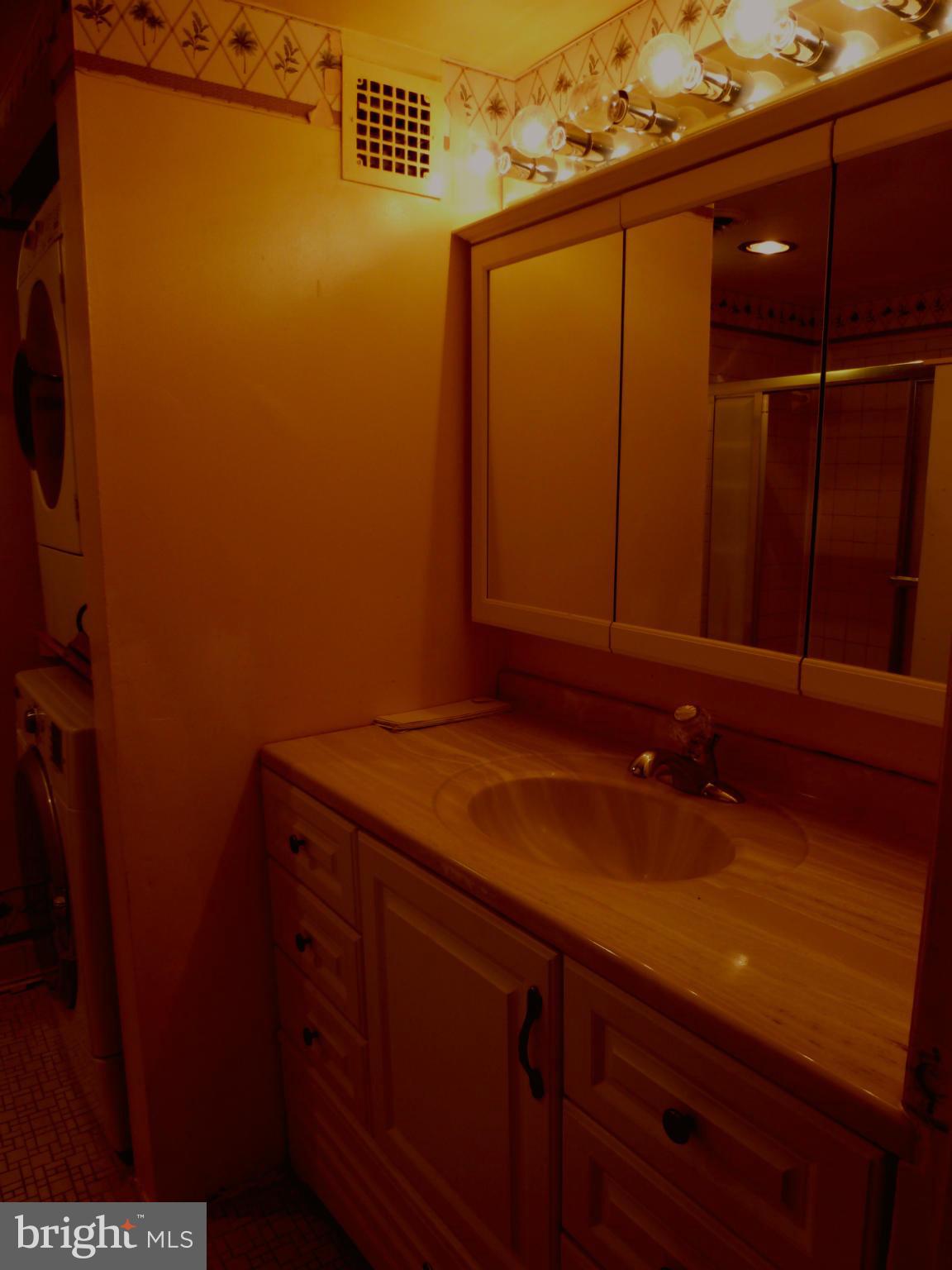 3344 Hewitt Avenue, Unit 76 Silver Spring, MD 20906 - Photo 12 of 20 Bath