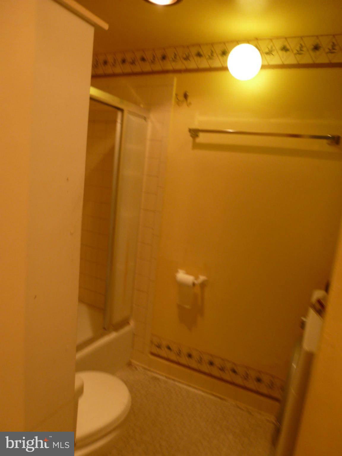 3344 Hewitt Avenue, Unit 76 Silver Spring, MD 20906 - Photo 13 of 20 Bath