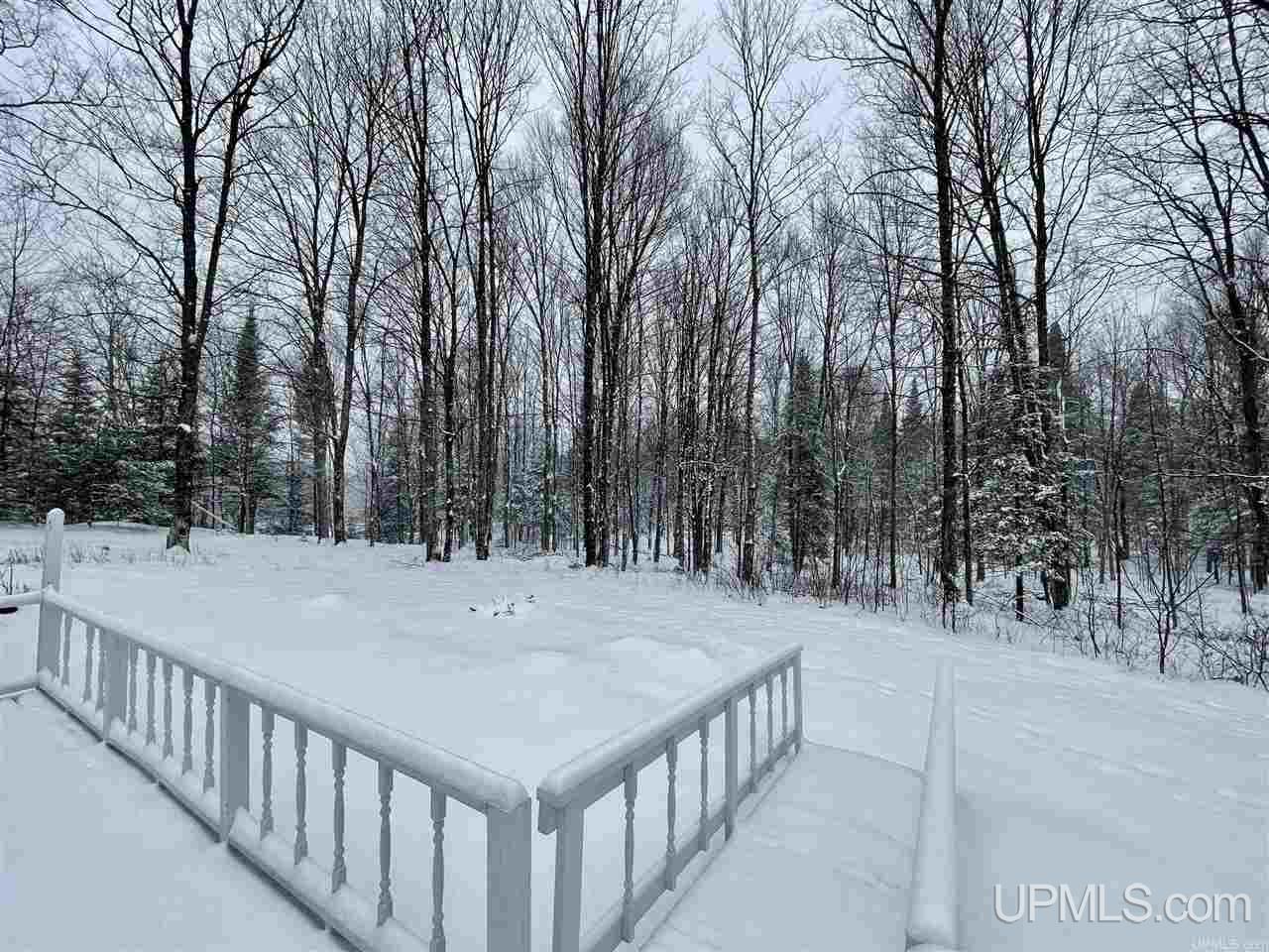 113 Marinello Road Iron River, MI 49935 - Photo 25 of 33