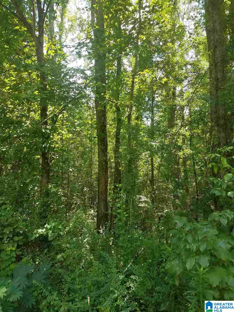 Pine Mountain Road, Unit 2 7 Oneonta, AL 35121 - Photo 3 of 3