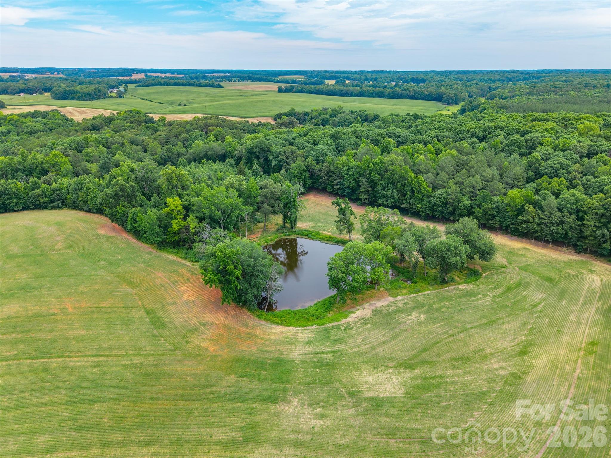 0 John Doster Road Pageland, SC 29728 - Photo 9 of 12