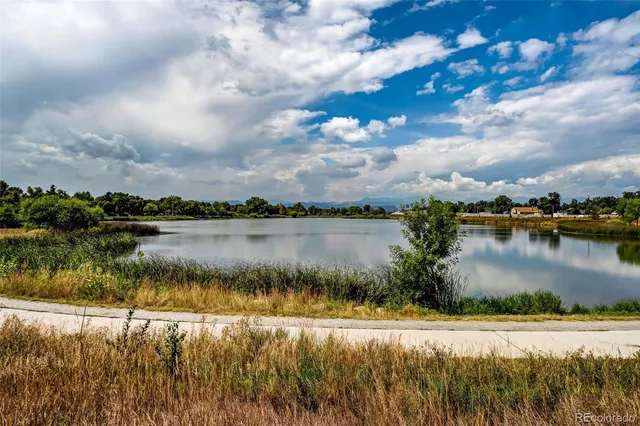 a view of a lake with a city