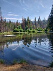 86 Tamarack Trail North Fork, CA 93543 - Photo 8 of 8 a view of a lake with a big yard
