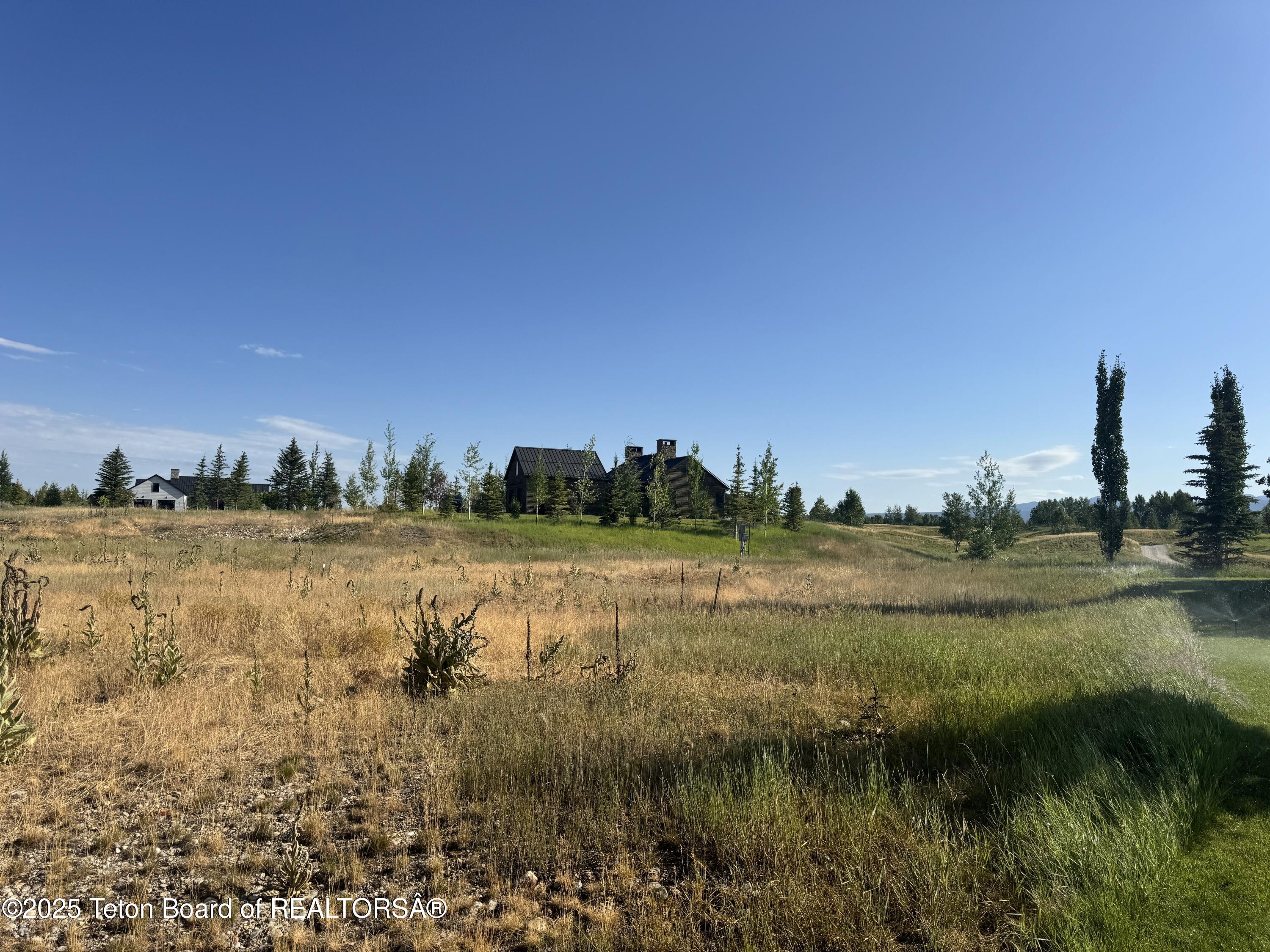 910 Dusty Maiden Court Driggs, ID 83422 - Photo 1 of 10 1 Building Site Northeast View