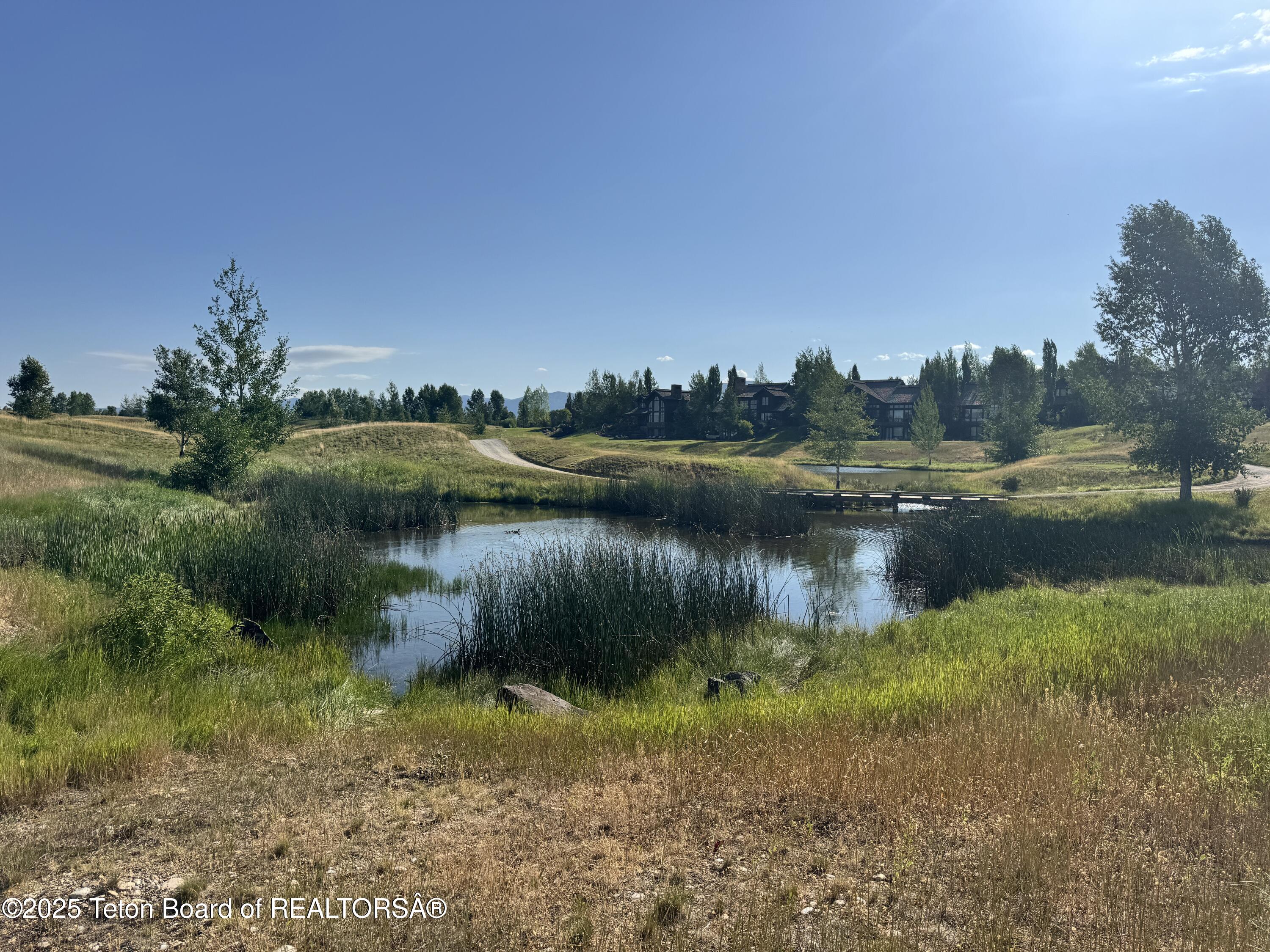 910 Dusty Maiden Court Driggs, ID 83422 - Photo 5 of 10 5 Water and Teton Range View