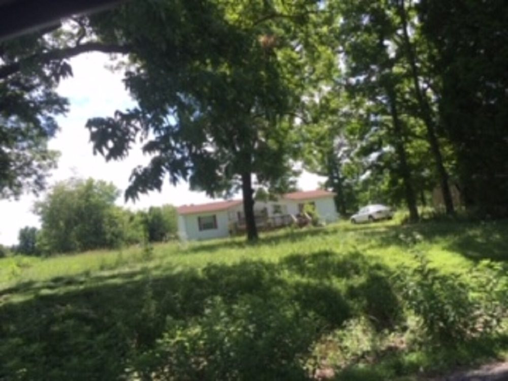186 Anderson Road Dresden, TN 38225 - Photo 1 of 1 a big yard with lots of green space and fountain