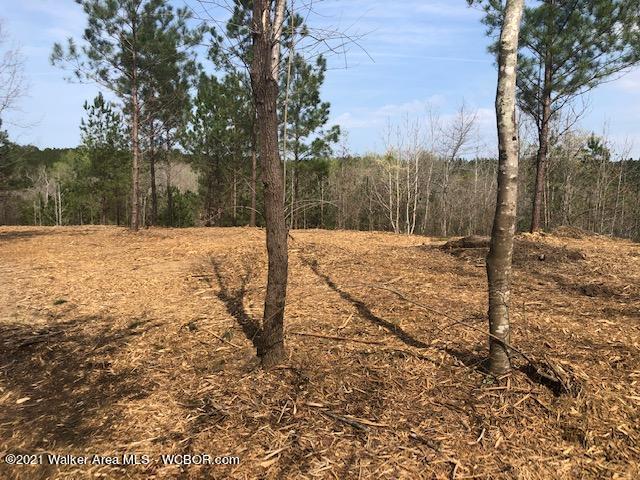 2023 County Road Arley, AL 35541 - Photo 1 of 9 Gallery Image 1