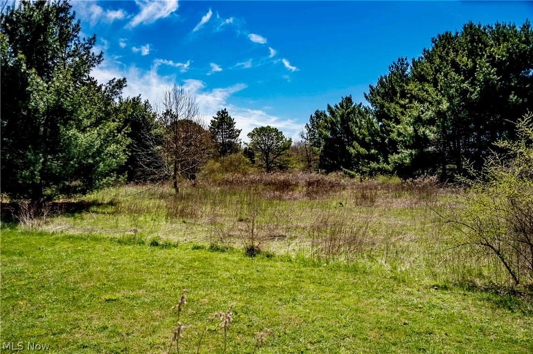 922 Fixler Road Wadsworth, OH 44281 - Photo 33 of 35