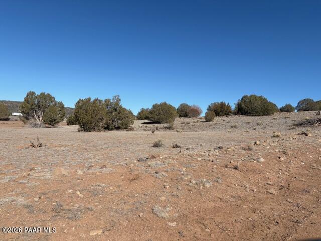 0 Terra Rnch Road Seligman, AZ 86337 - Photo 12 of 22 a view of ocean beach with large tree