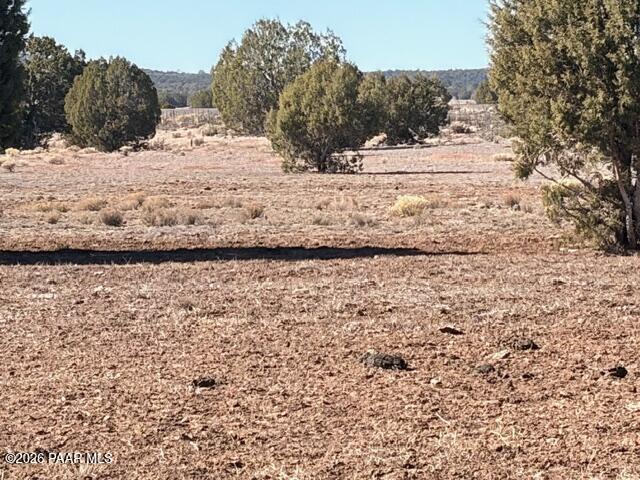 0 Terra Rnch Road Seligman, AZ 86337 - Photo 16 of 22 a view of snow on the road
