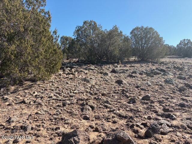 0 Terra Rnch Road Seligman, AZ 86337 - Photo 19 of 22 a view of a large yard