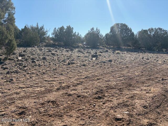0 Terra Rnch Road Seligman, AZ 86337 - Photo 21 of 22 a view of a dry yard
