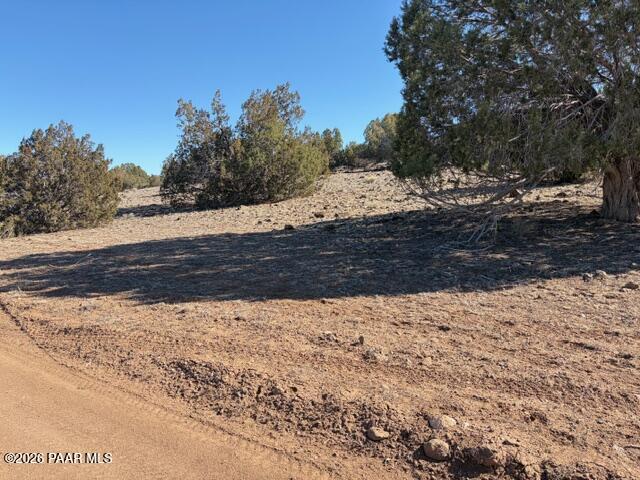 0 Terra Rnch Road Seligman, AZ 86337 - Photo 5 of 22 a view of a yard with mountain
