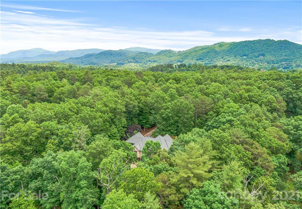 2 Ashbrook Meadows Fletcher, NC 28732 - Photo 48 of 48 a view of a lush green forest with lush green forest