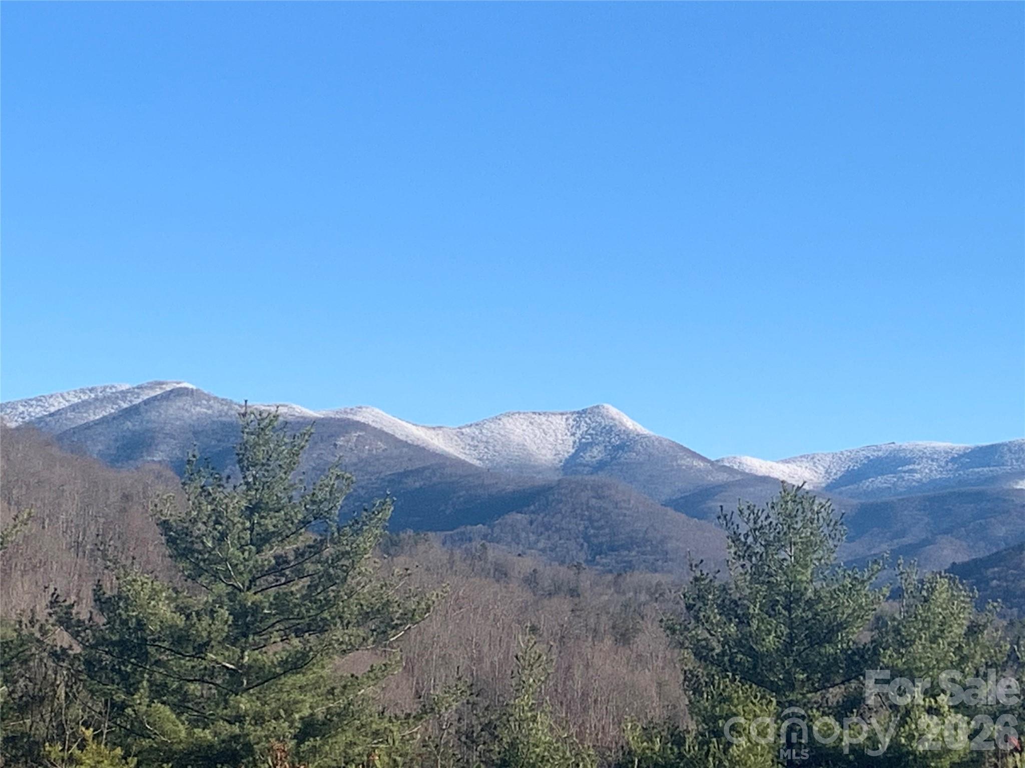 31 Bear Den Road Asheville, NC 28805 - Photo 14 of 46