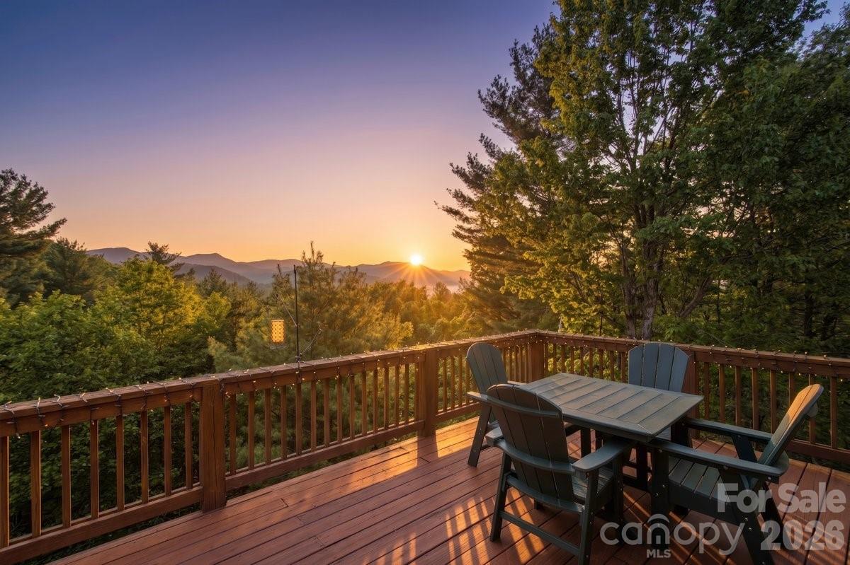 31 Bear Den Road Asheville, NC 28805 - Photo 15 of 46