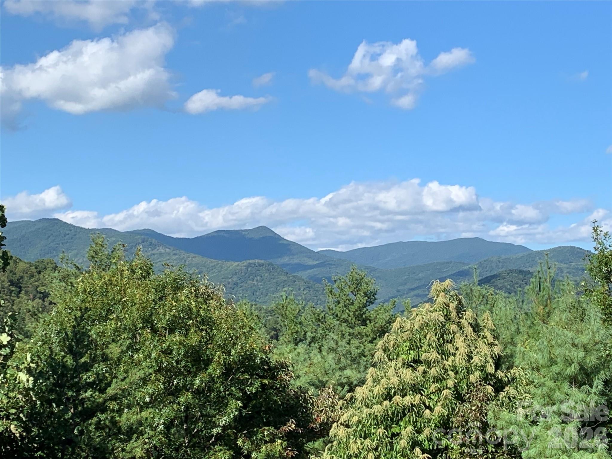 31 Bear Den Road Asheville, NC 28805 - Photo 16 of 46