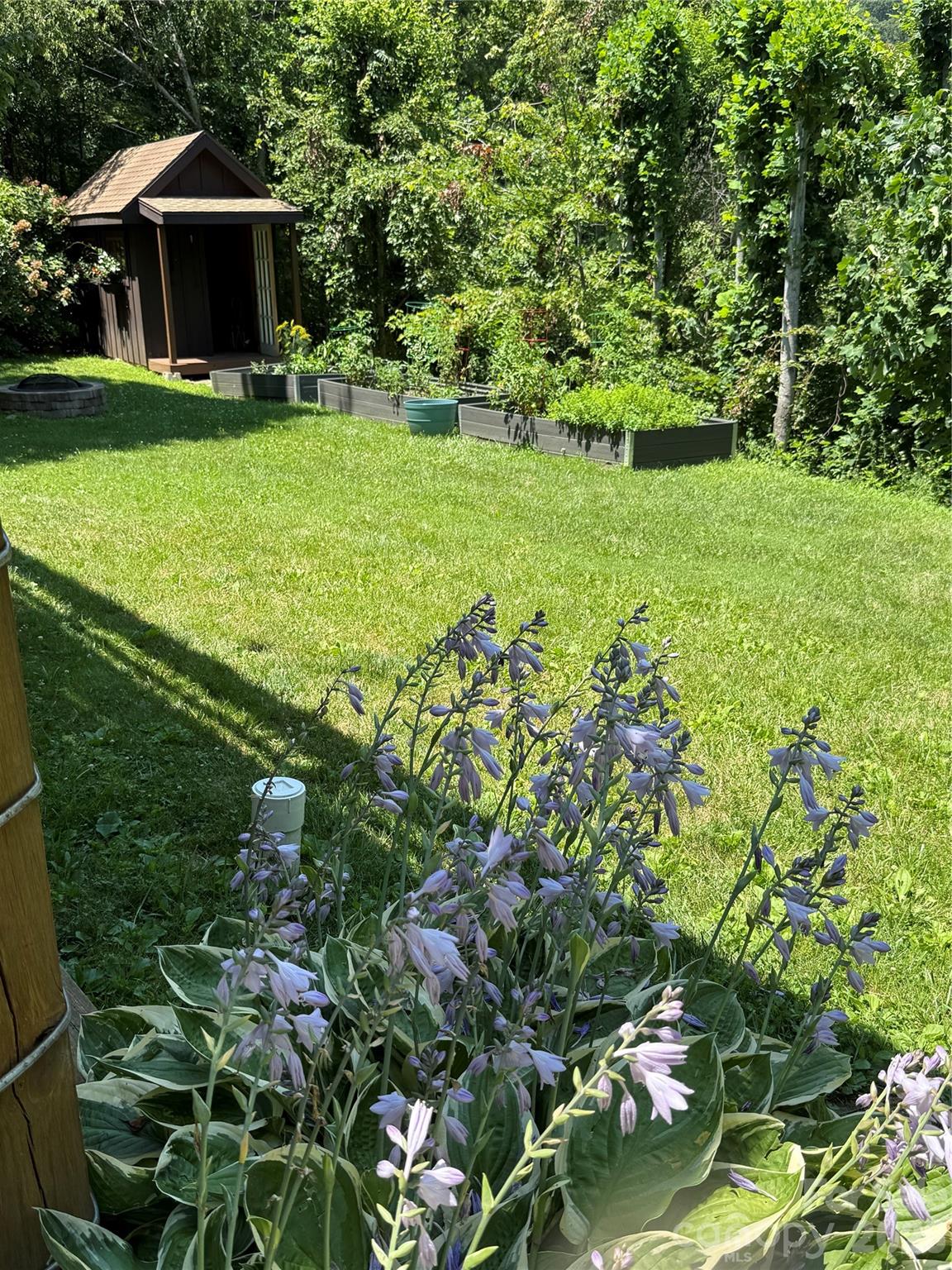 31 Bear Den Road Asheville, NC 28805 - Photo 38 of 46
