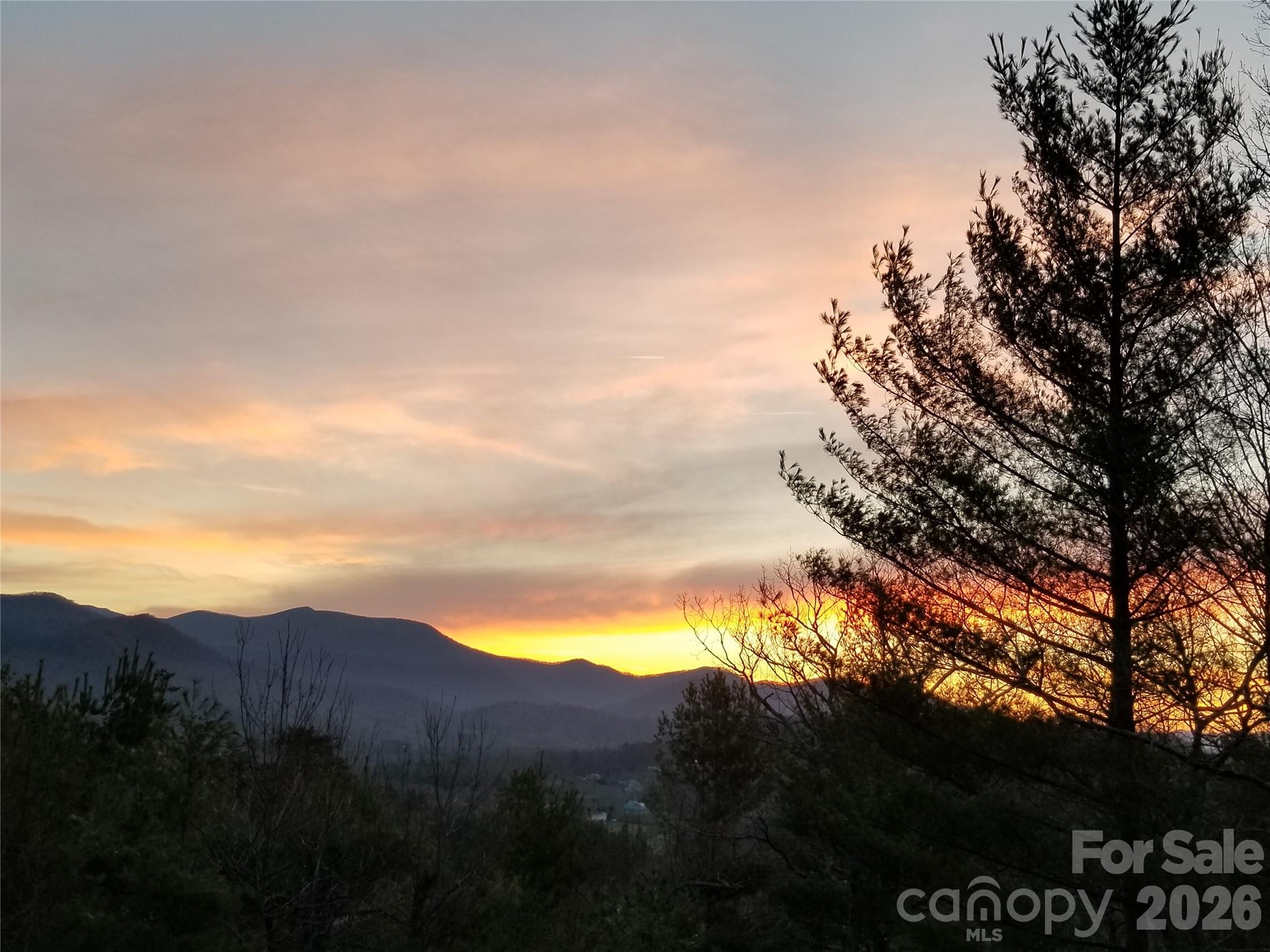 31 Bear Den Road Asheville, NC 28805 - Photo 45 of 46