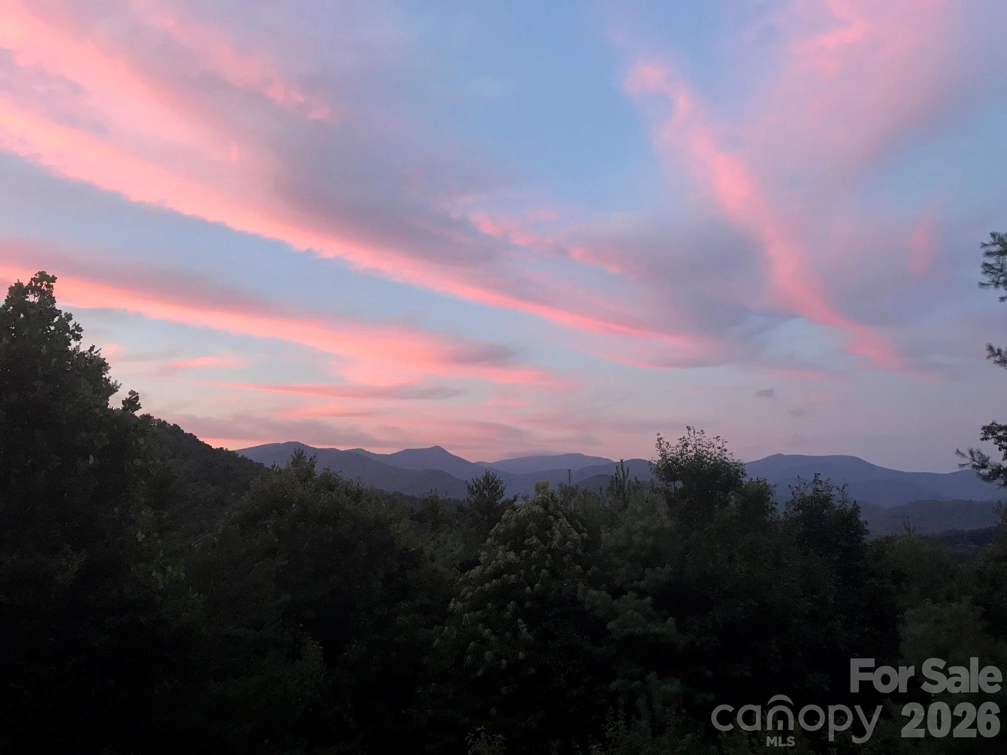 31 Bear Den Road Asheville, NC 28805 - Photo 46 of 46