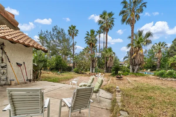 a view of a backyard with plants and palm tree