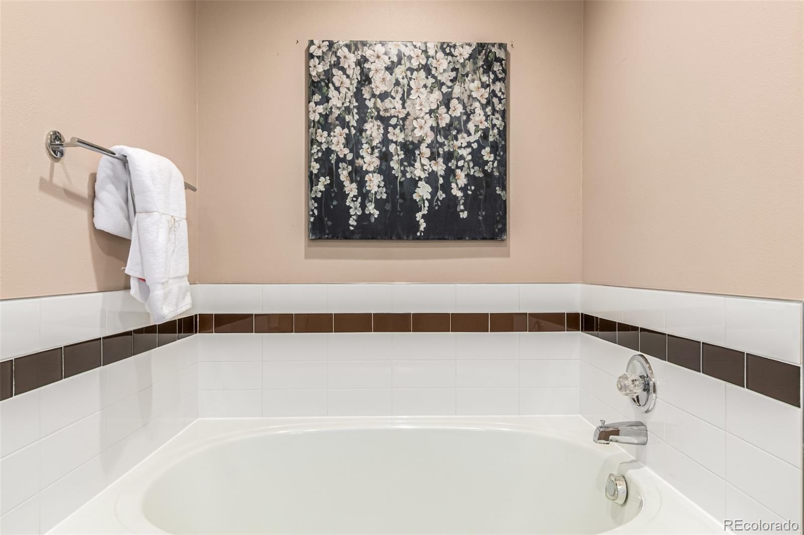8837 South Cactus Flower Way Highlands Ranch, CO 80126 - Photo 24 of 42 a bathroom with a bathtub and a shower