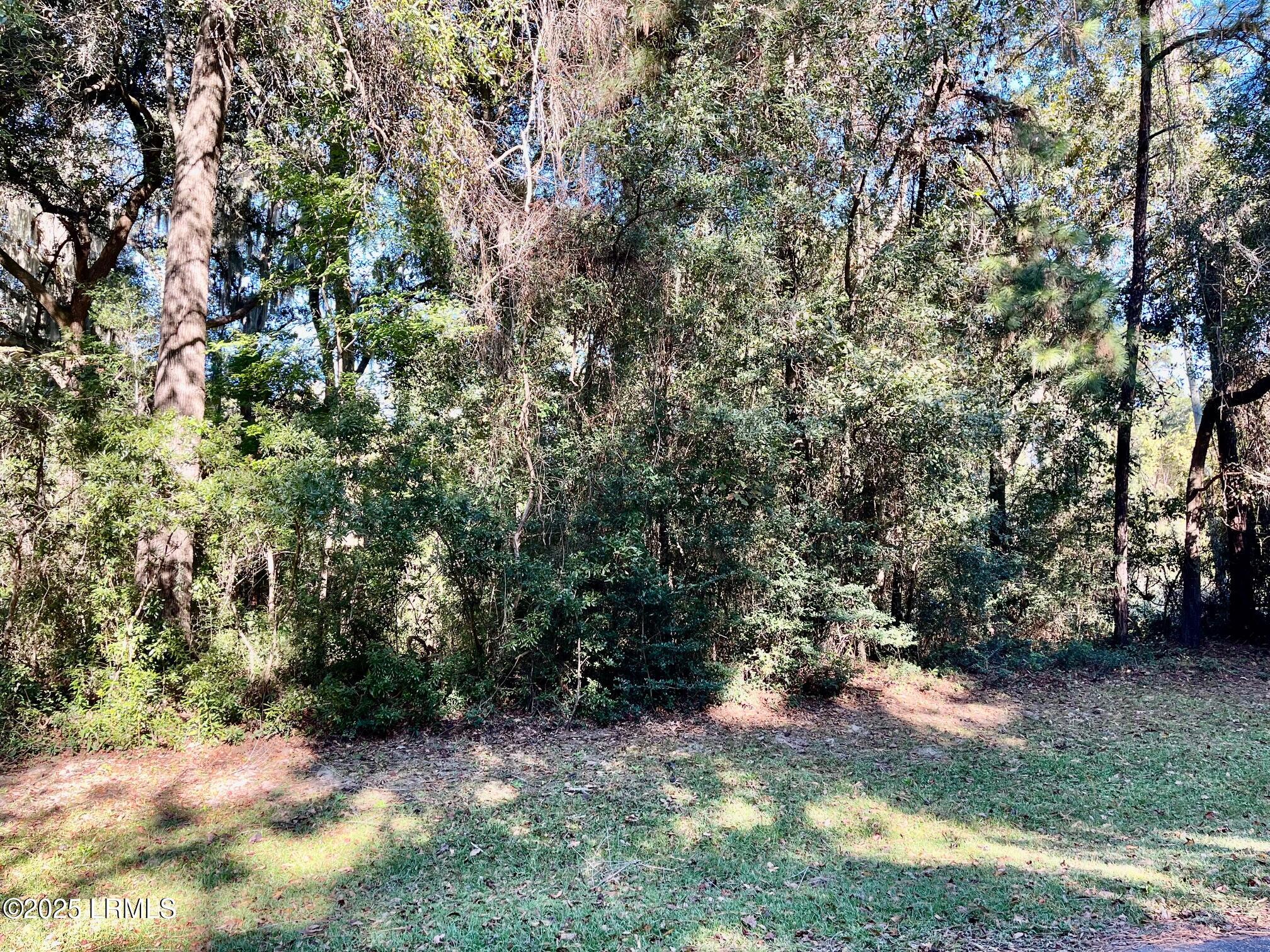 36 Little Creek Road Beaufort, SC 29907 - Photo 1 of 2 LC 4