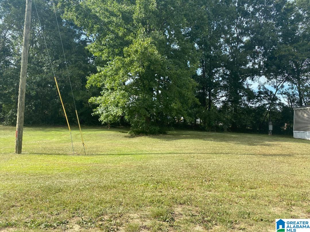 126 Sanders Road Jasper, AL 35504 - Photo 23 of 31