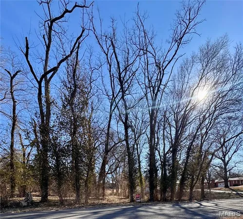 $45,000 | 0 Hillcreek Road, Collinsville, IL 62234