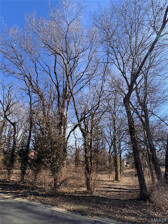 0 Hillcreek Road Collinsville, IL 62234 - Photo 4 of 5