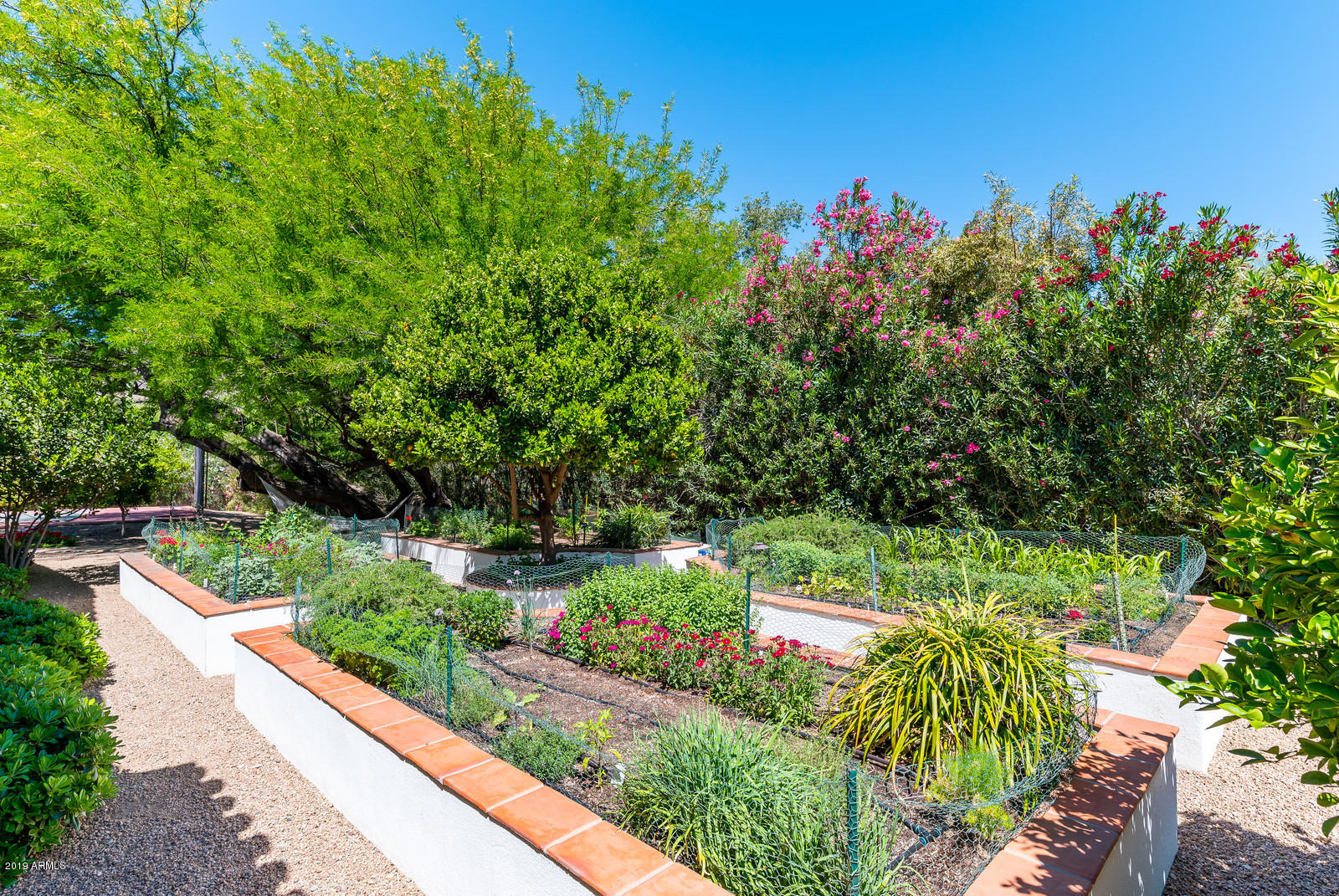 5110 East Roadrunner Road Paradise Valley, AZ 85253 - Photo 40 of 50 Gardens