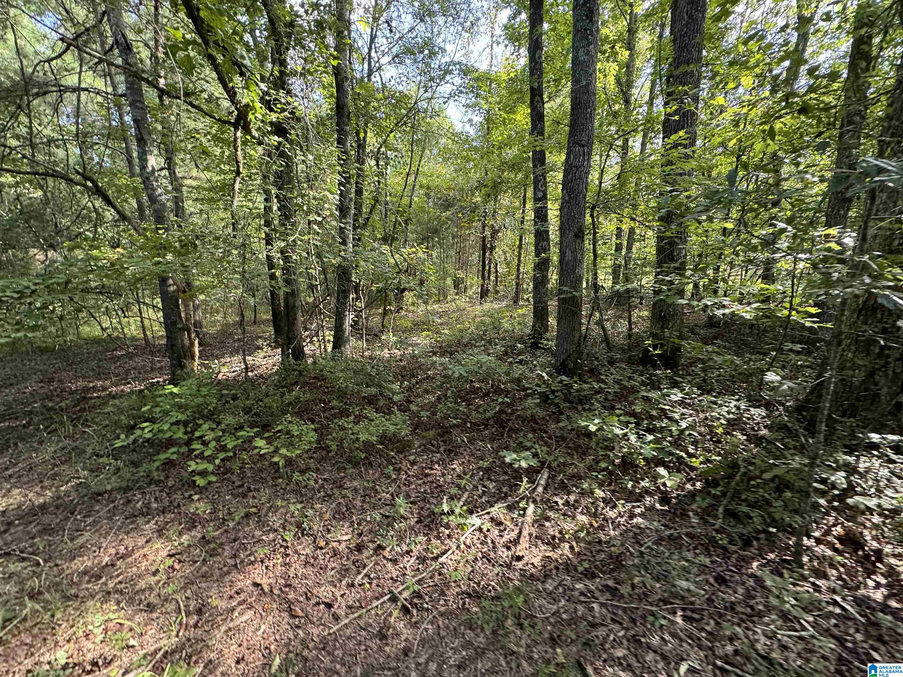 20394 County Road 55 Sterrett, AL 35147 - Photo 10 of 43