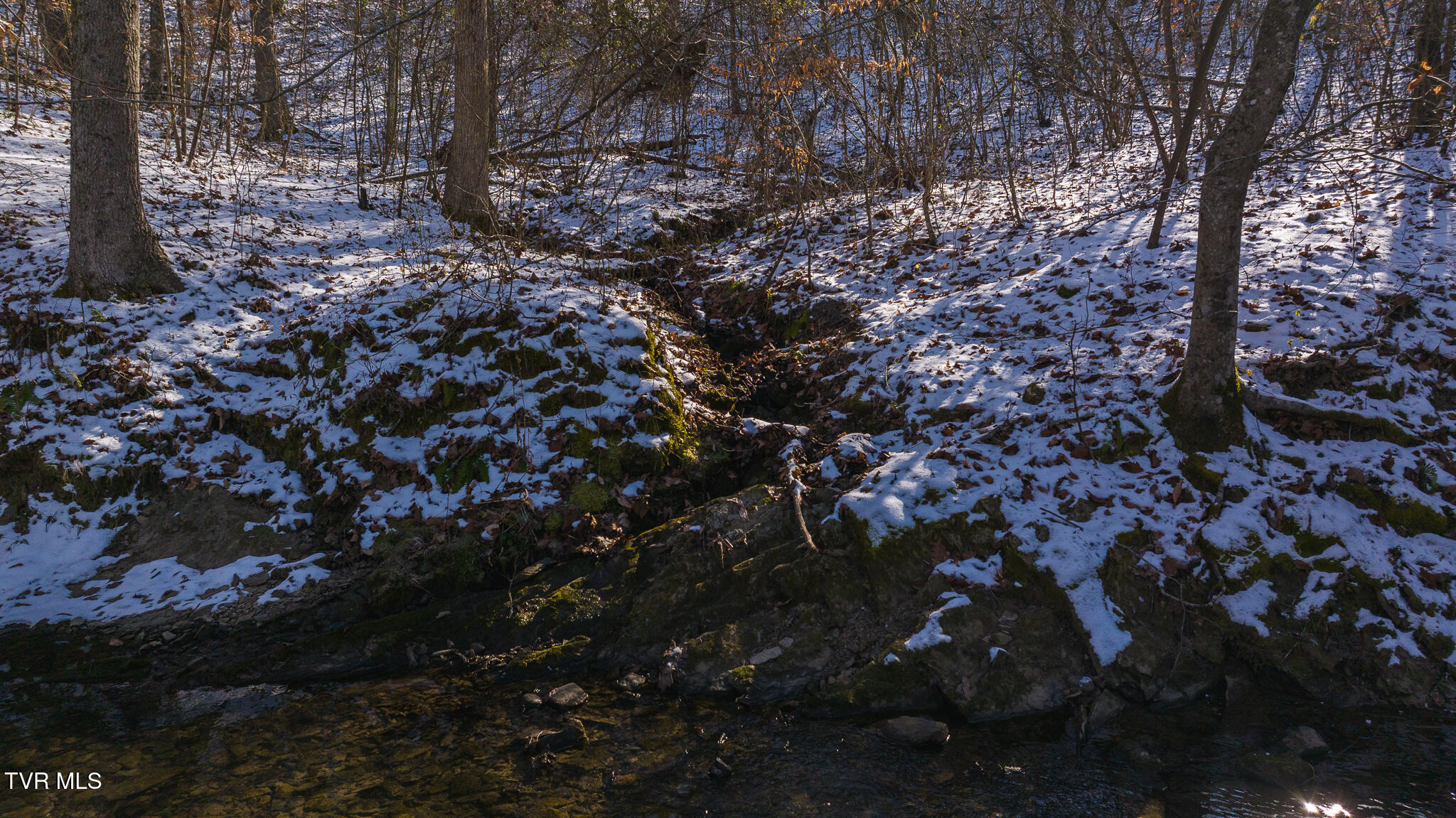 0 Long Bend Road Rogersville, TN 37857 - Photo 12 of 46 DJI_20250115141804_0523_D