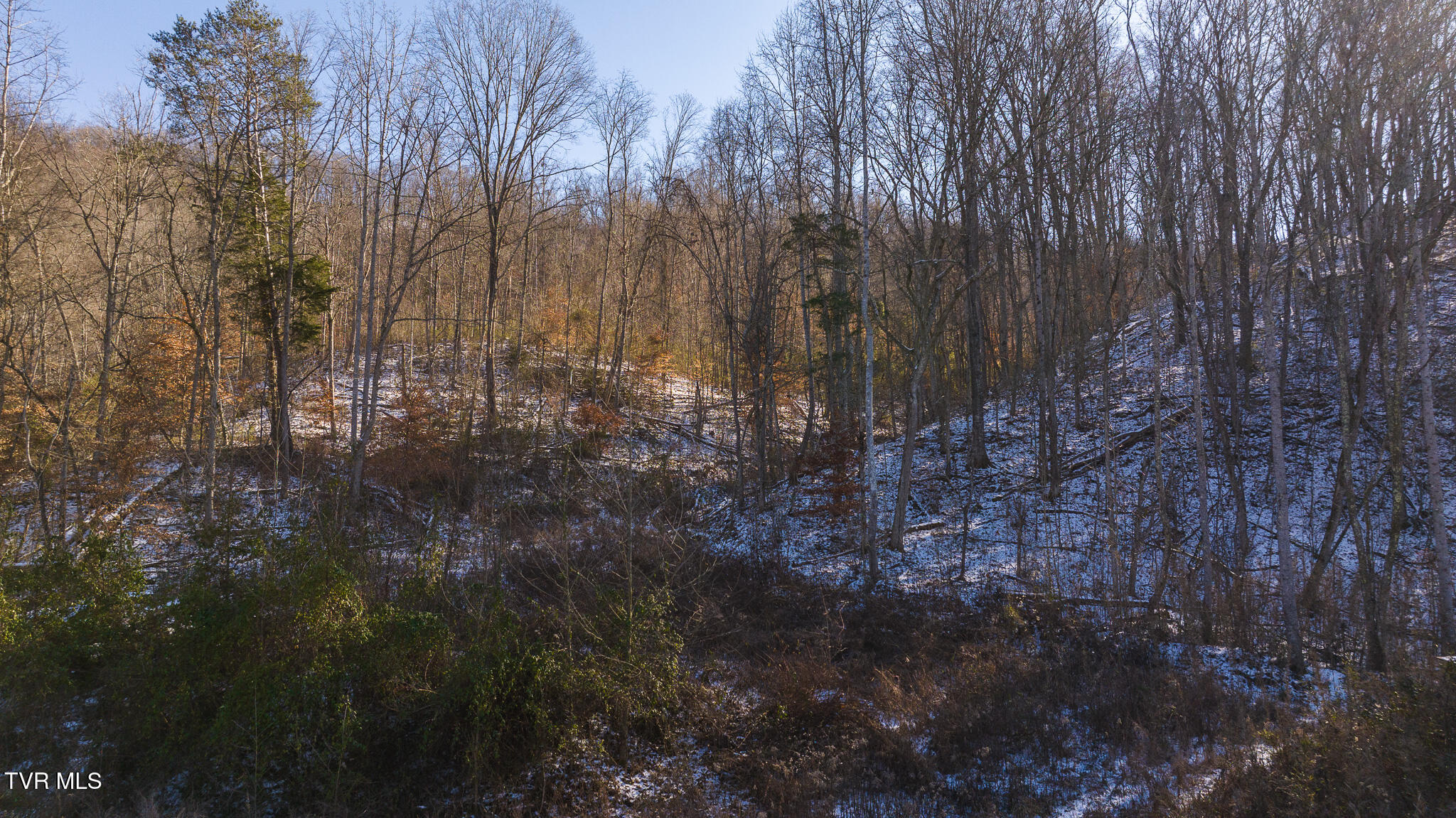 0 Long Bend Road Rogersville, TN 37857 - Photo 20 of 46 DJI_20250115142529_0532_D
