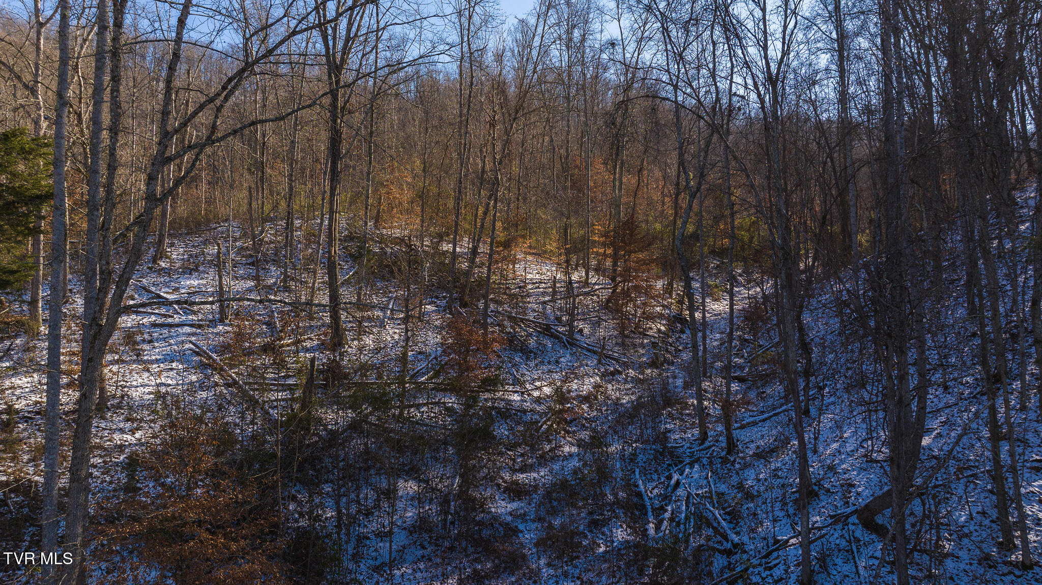 0 Long Bend Road Rogersville, TN 37857 - Photo 21 of 46 DJI_20250115142539_0533_D