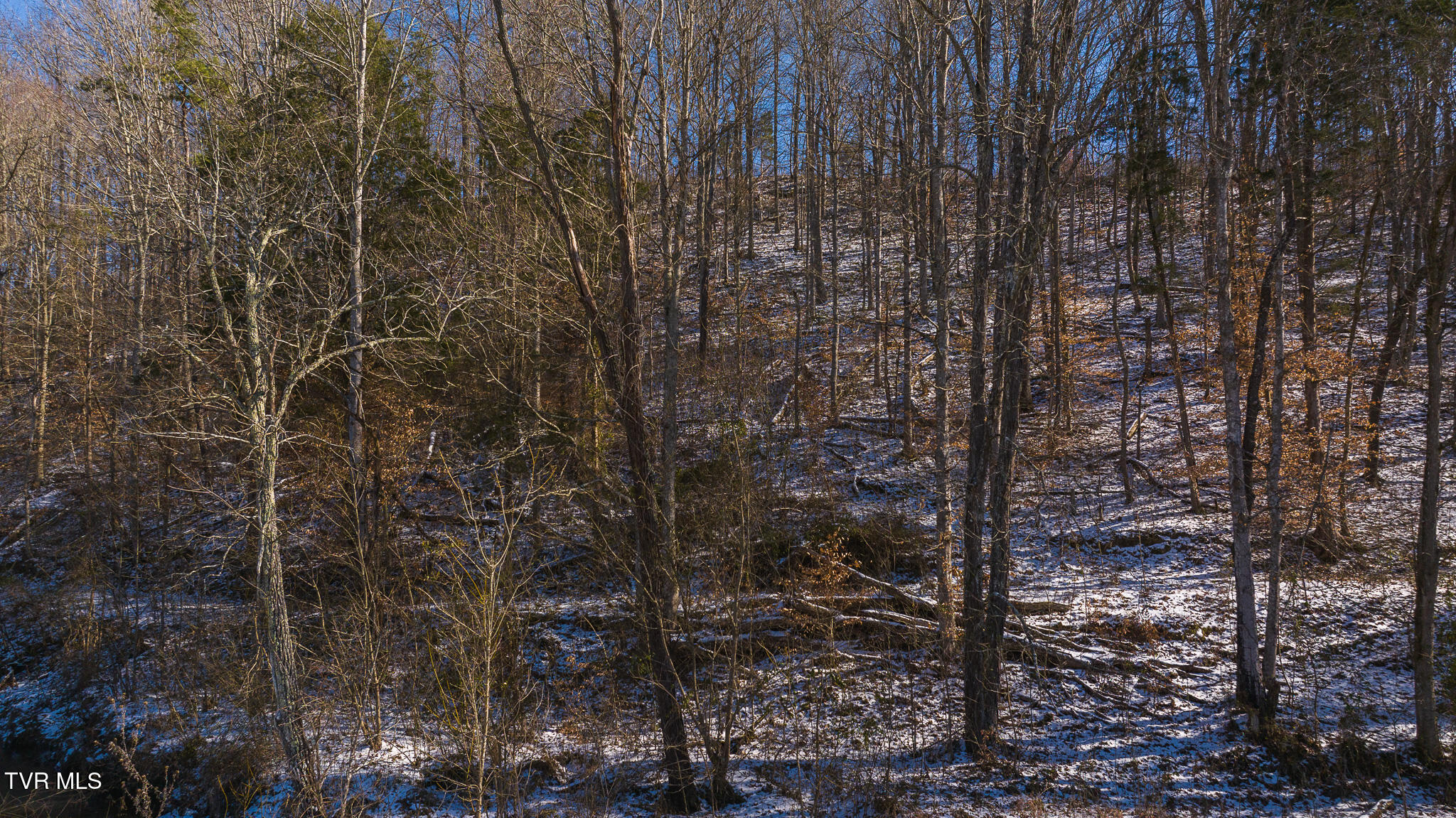 0 Long Bend Road Rogersville, TN 37857 - Photo 22 of 46 DJI_20250115140811_0511_D